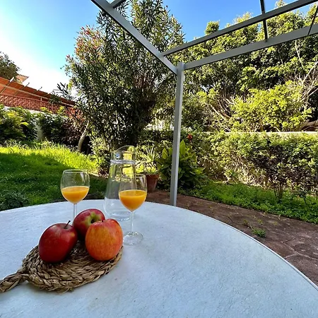 Casa Mariposa Apartment Sauzal